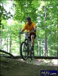 556b